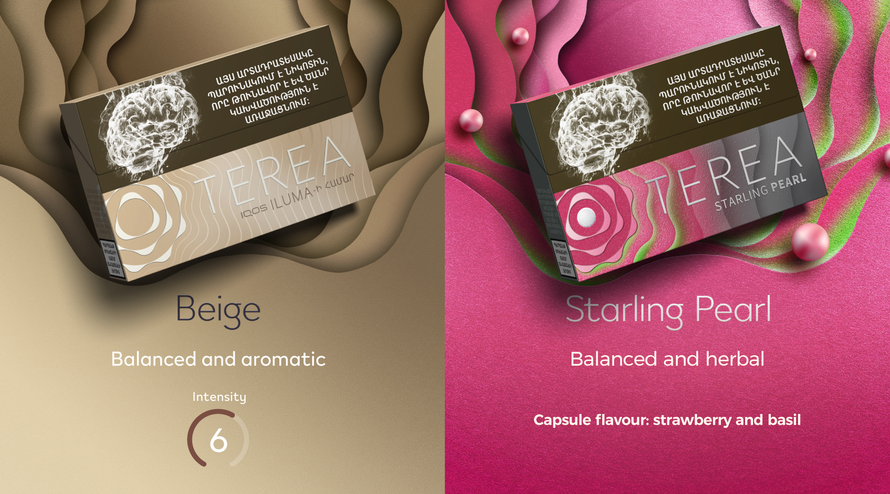 TEREA sticks visual update English